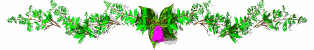 image of flowers